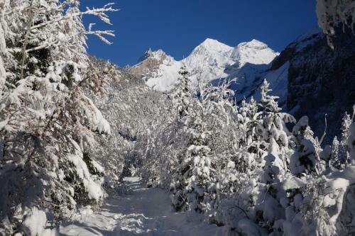Apartamento Ferienwohnung Chalet Bergblume