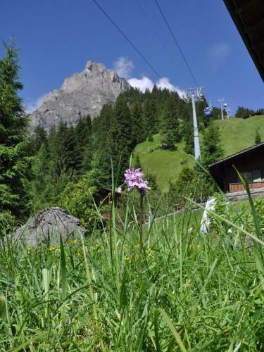 Apartamento Ferienwohnung Chalet Bergblume