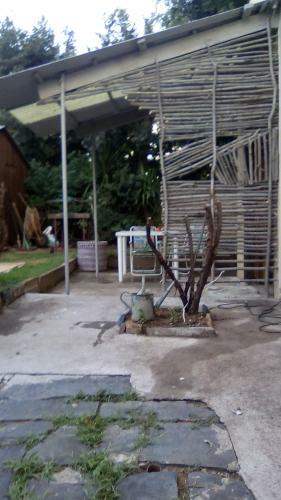 Apartment 1233 On Webb