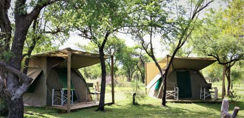 Thorn Tree Bush Camp