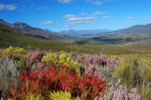 Villa Swartberg Private Game Lodge