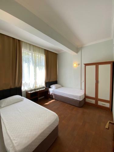 Erol Apart