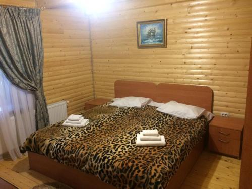 Hotel Sribni Rosy