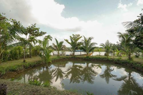 Bed & Breakfast Windy River Homestay