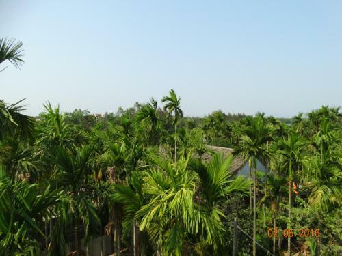 Village Love Homestay