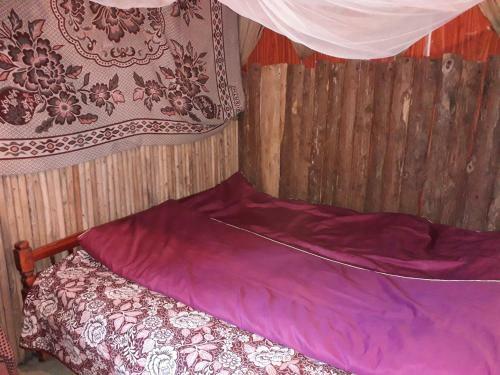 Tavan Nature Homestay