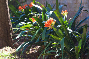 Apartamento Stellenbosch Gardens