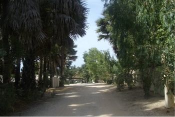 Holiday Beach Club Hotel