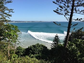 Albergue Komune - Gold Coast