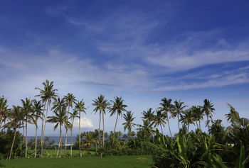 Hotel The Garga Beach Villas
