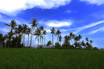 Hotel The Garga Beach Villas