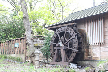 Hakone Guest House Toi - Hostel