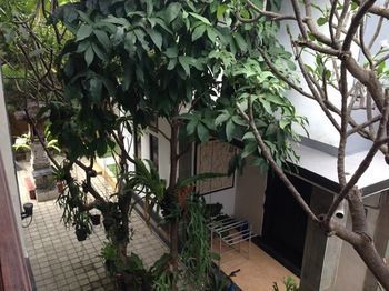 Hotel Double N Guesthouse