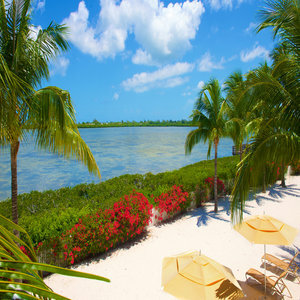 Apartamento Parrot Key Hotel & Resort