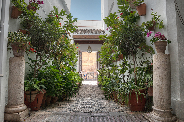 Hotel Los Patios