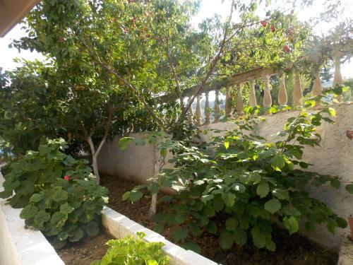 Hostal Guest House Vila Bega