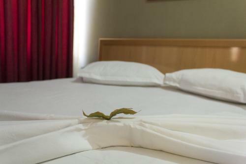 Hostal Guest House Tirana