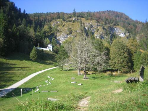 Apartment Landhaus Bachwinkl