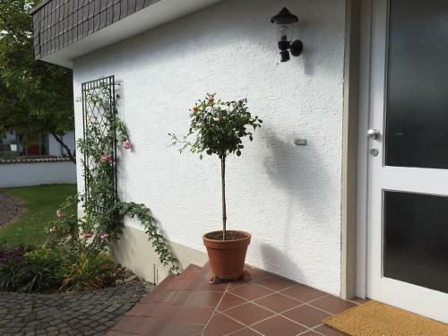 Apartamento Haus Am K�nigsforst