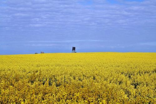 Apartamento Villa Saxonia - Appartment 8