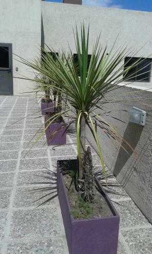 Apartamento Aires De La Villa II
