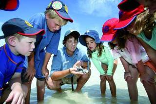 Hotel Heron Island Resort