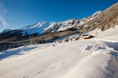 Hostal Alpengasthof K�fels