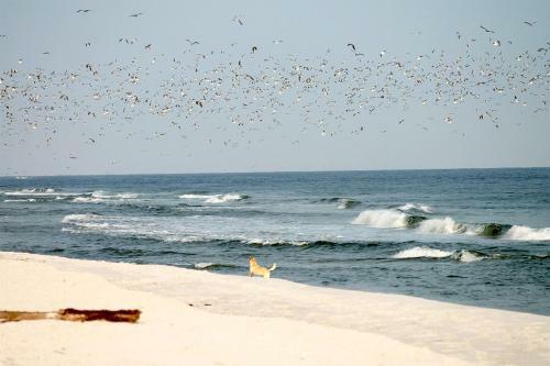 Apartamento Beach'n'sea Wohnung 7