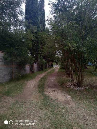 Lodge Caba�as Sem