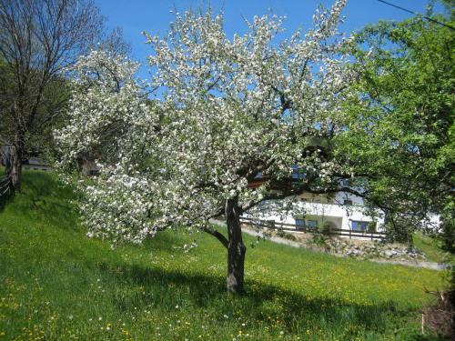 Hostal G�stehaus Rettenbacher