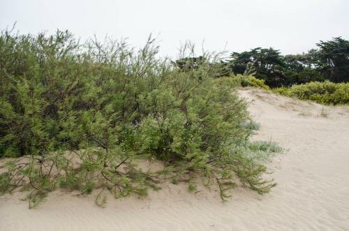 Apartamento Pueblo Yaganes