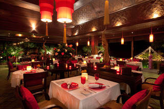 Hotel Rocky's Boutique Resort