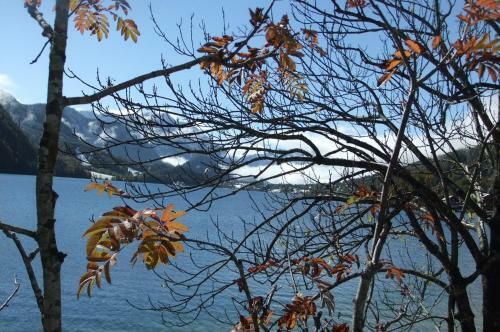 Bed & Breakfast Pension Alpenhof