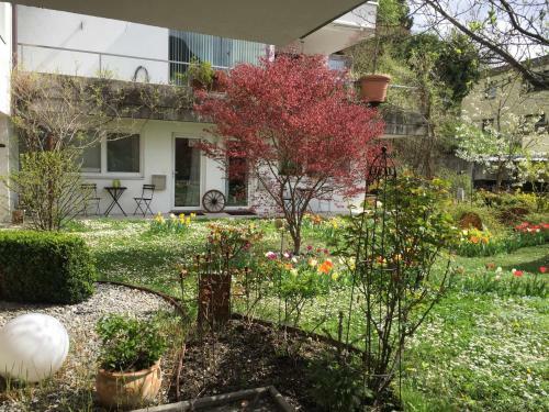 Innsbruck Apartment Nigler