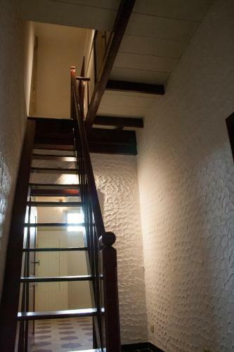 Blauwvoet