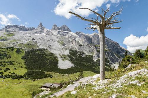 Berg-spa & Hotel Zamangspitze