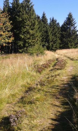 Woodland Lodge Winterberg