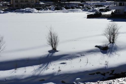 Apartamento Alpinea Appartements