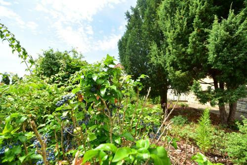 Apartamento Ferienwohnung Hannweber