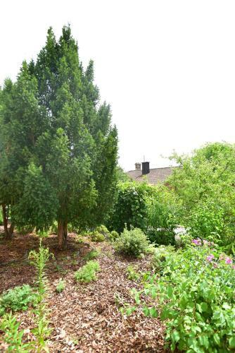 Apartamento Ferienwohnung Hannweber
