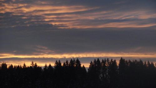 Hostal Hotel-pension Thom�