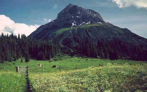 Apartamento Haus Gst�at