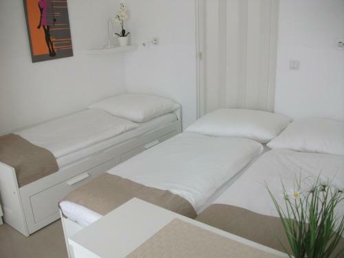 Hostal Ch-vienna City Rooms