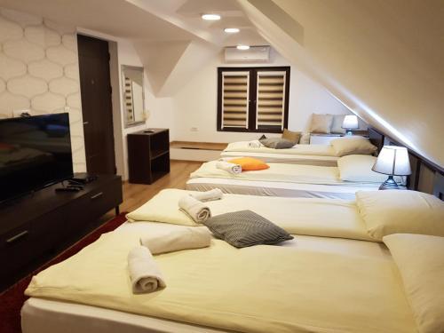 Hostal Pansion River