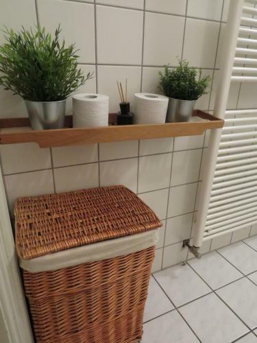Hostel Lollis Homestay Dresden