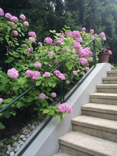 Apartamento Exquisites Gartenapartment In Eleganter Jugendstilvilla