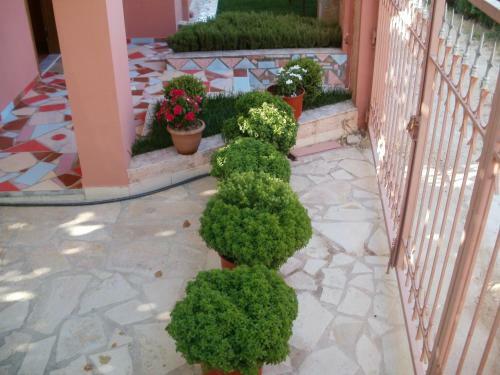 Apartamento Hotel Alexis