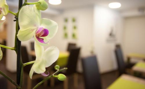 Agroturismo Hotel Garni Liesl
