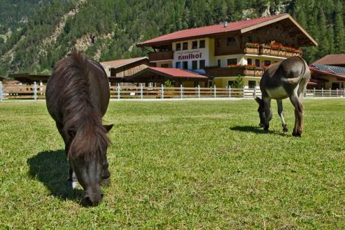 Apartamento Alpenappart Rimlhof