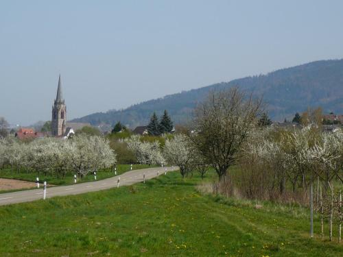 Apartamento Winzerhof Unter Der Yburg